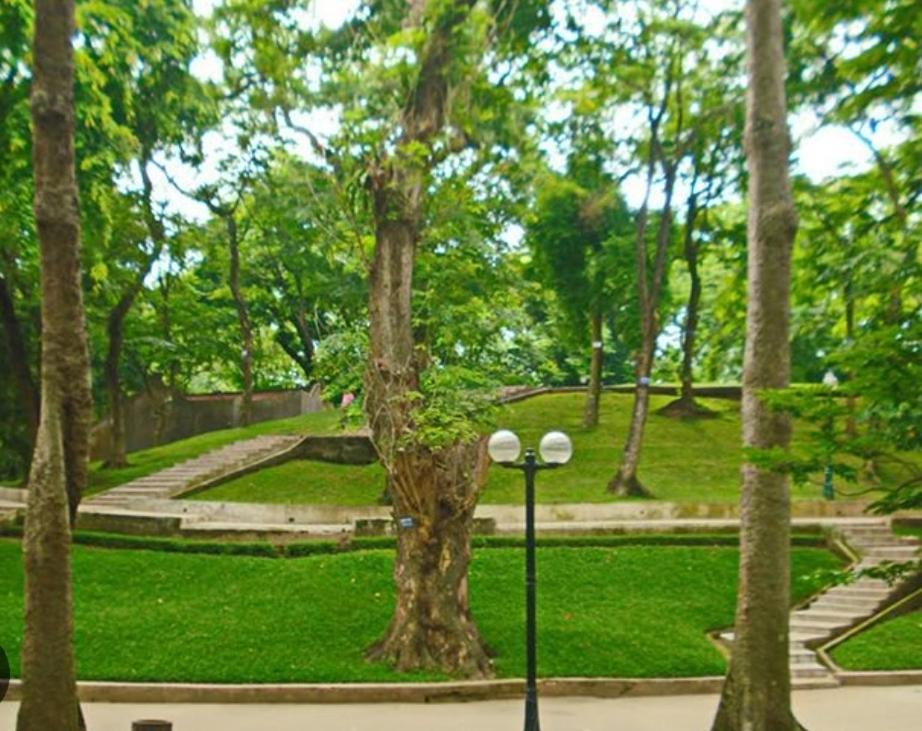 האנוי Da Tree Homestay מראה חיצוני תמונה
