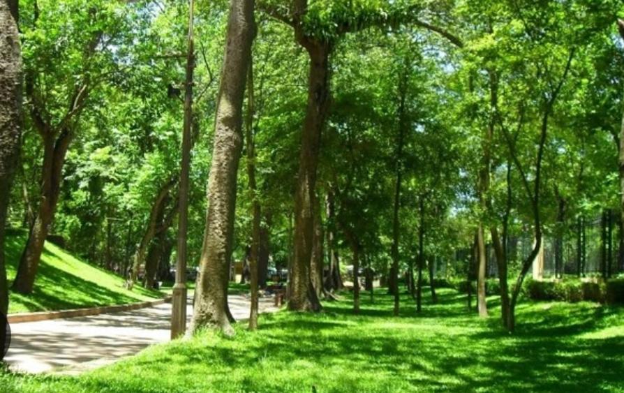 האנוי Da Tree Homestay מראה חיצוני תמונה